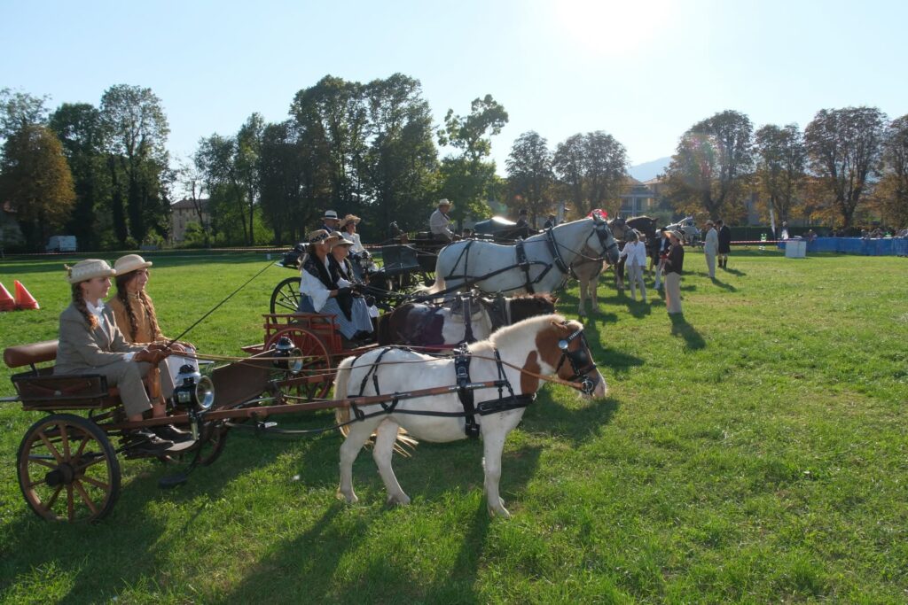 I CIAT La Voce del Cavallo, Alzano Lombardo 2026
